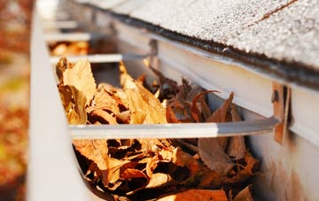 Revesby Bridge gutter cleaning companies
