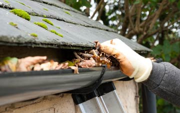 gutter cleaning Revesby Bridge, Lincolnshire