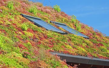 Revesby Bridge living roof systems